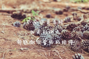 关于陪伴的文字图片